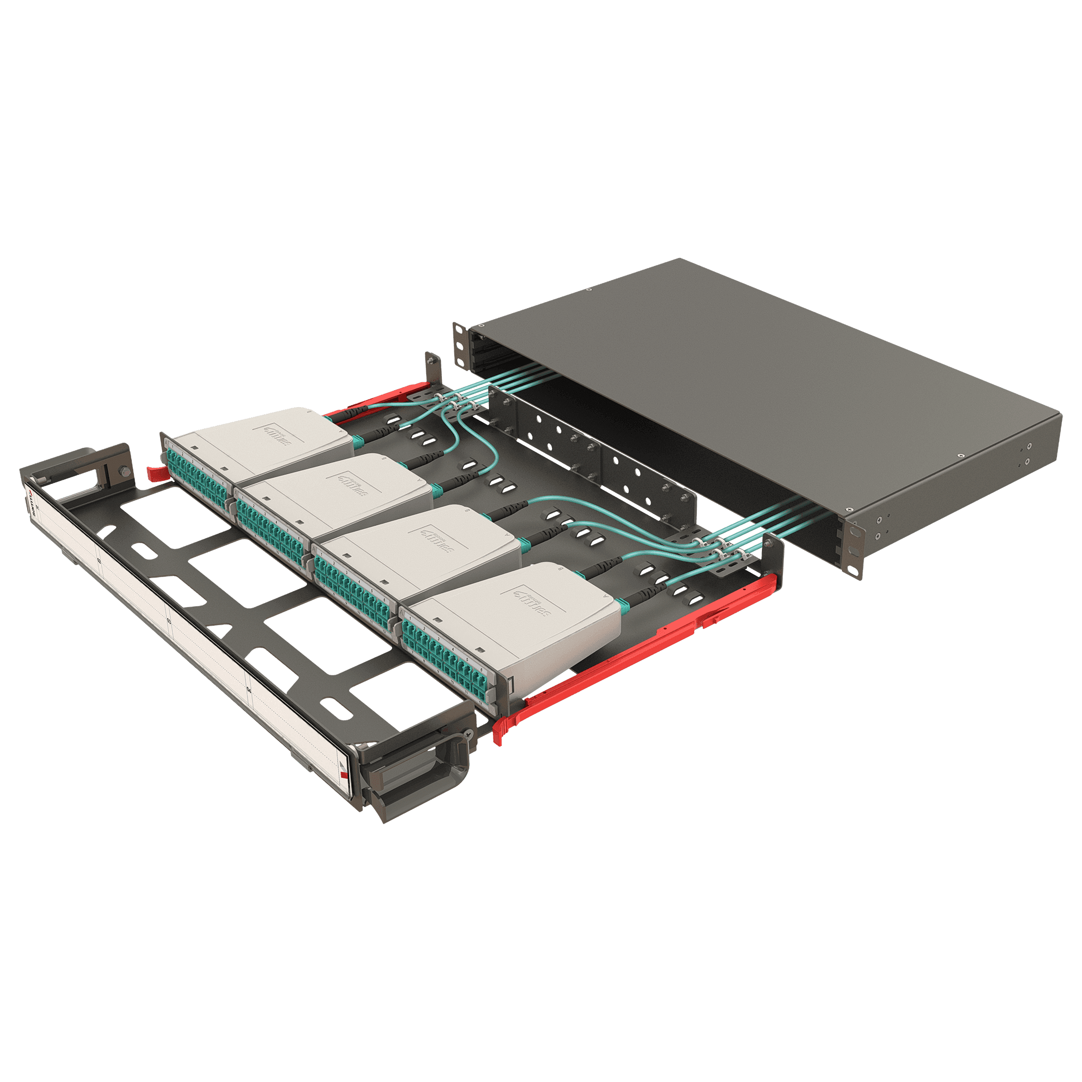 Modular High Density Panel with Organizer | 1U 4 Slots, vista 4