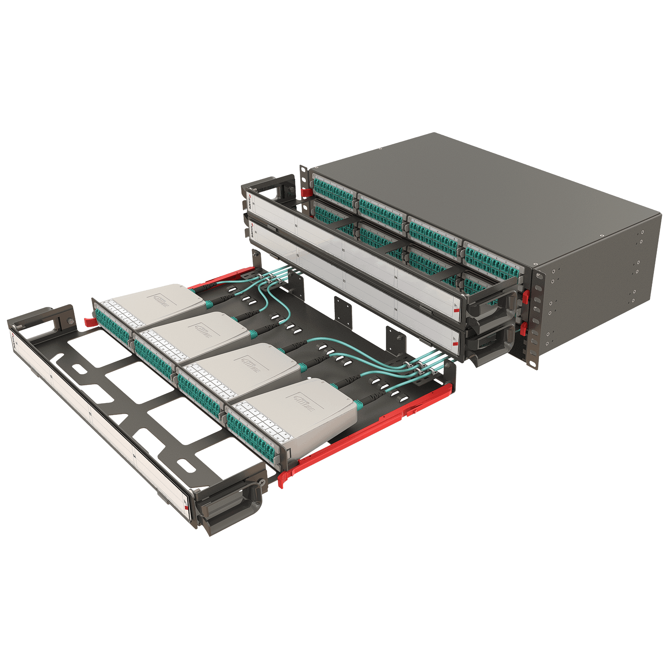 Modular High Density Panel with Organizer | 3U 12 Slots, vista 4