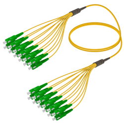 SC/APC-SC/APC | 12 Fibers Fanout | Single Mode G657.A2 | 3.0/1.8mm, vista 2