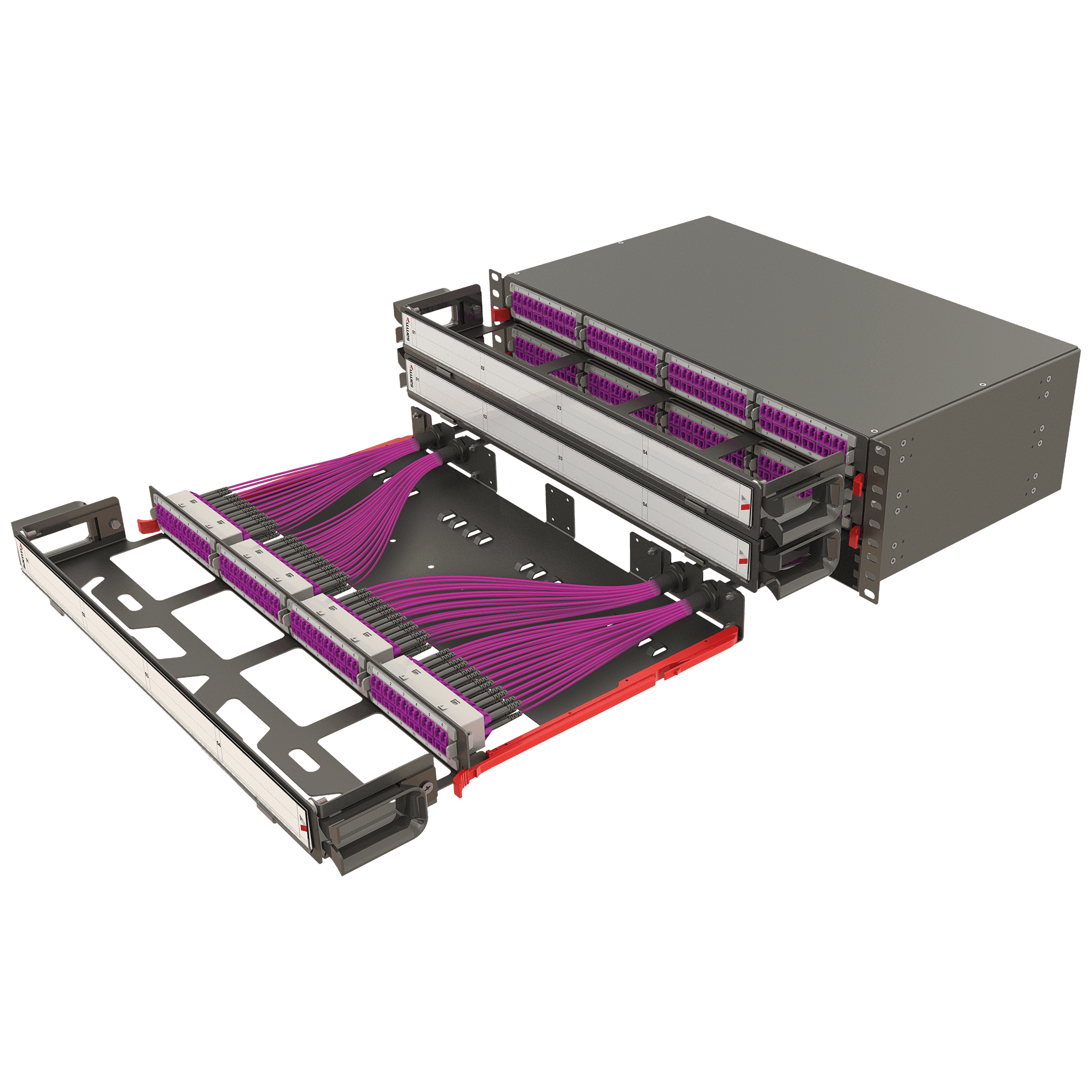 Modular High Density Panel with Organizer | 3U 12 Slots, vista 3