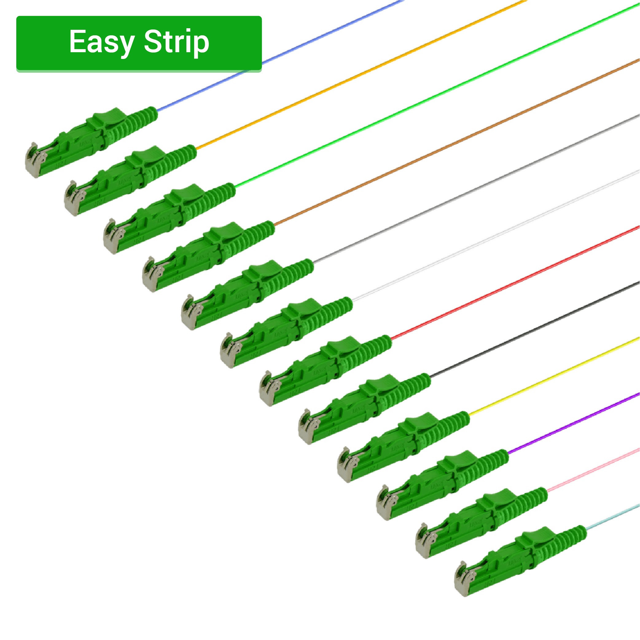 LSH/APC 12 Fiber Pigtail | Single Mode G657.A2 | 0.9mm