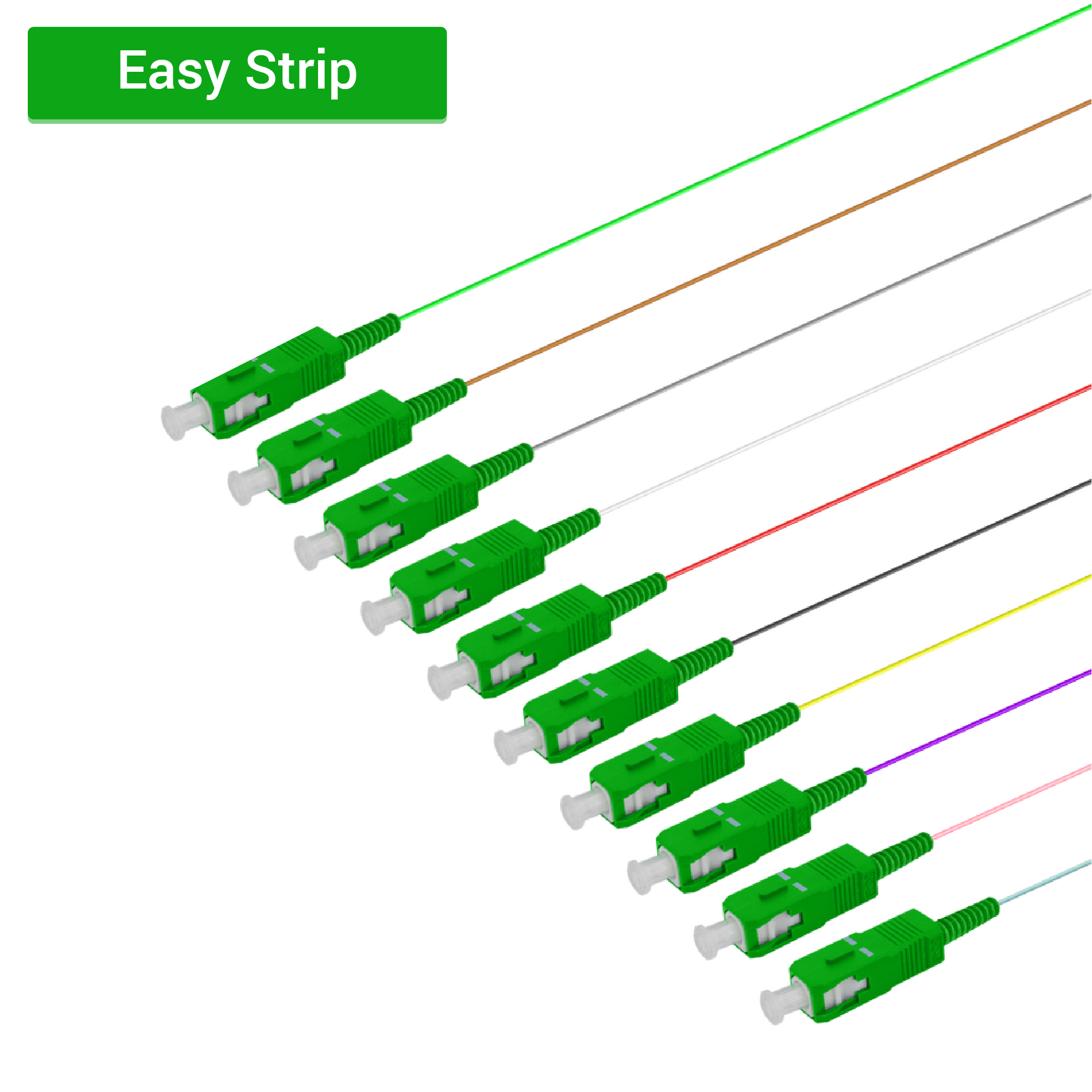 SC/APC 12 Fiber Pigtail | Single Mode G657.A2 | 0.9mm, vista 2