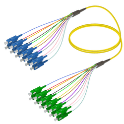 SC/UPC-SC/APC | 12 Fibers Fanout | Single Mode G657.A2 | 3.0/0.9mm, vista 2
