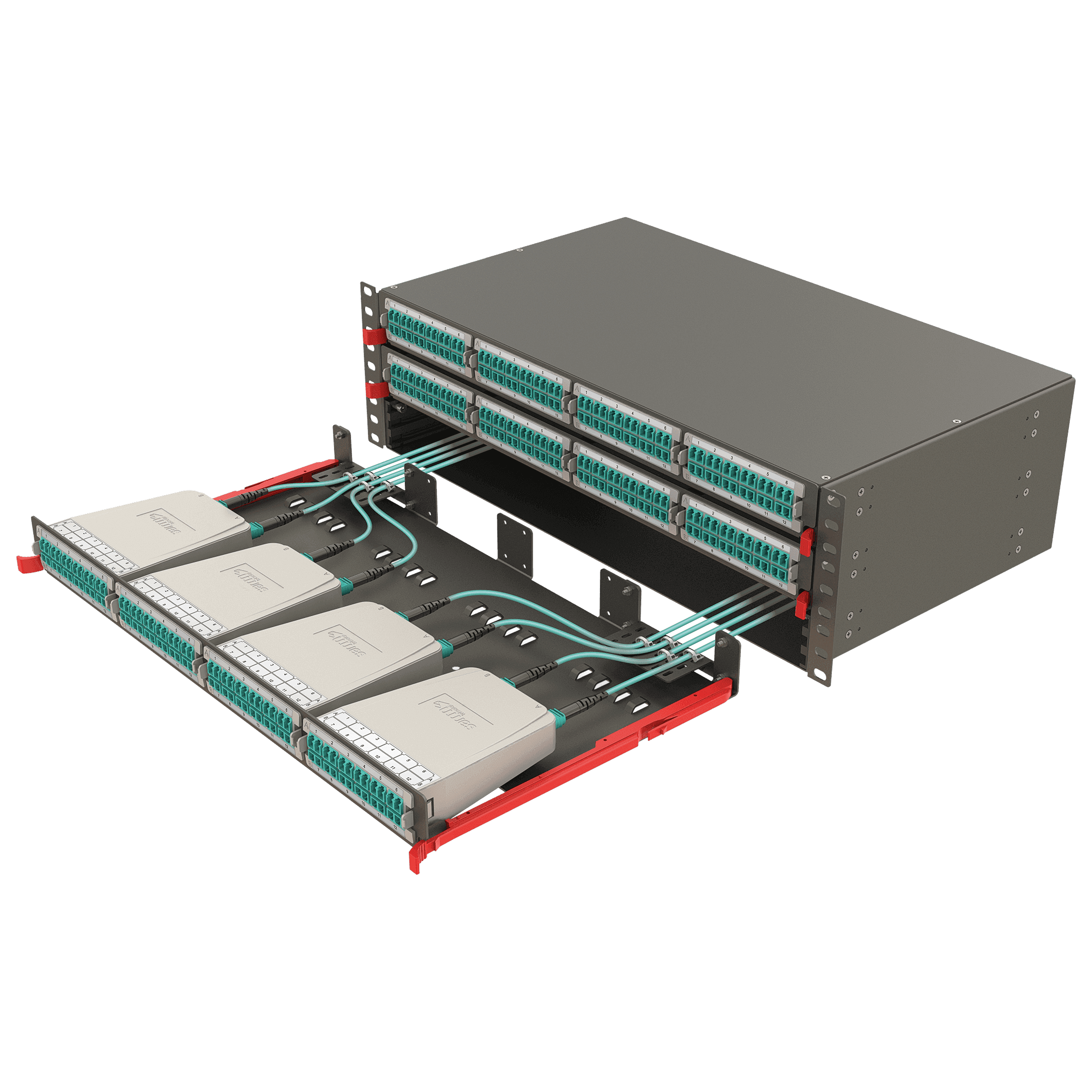 Modular High Density Panel | 3U 12 Slots, vista 4
