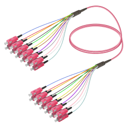 SC/UPC-SC/UPC | 12 Fibers Fanout | Multi Mode G651.OM4 | 3.0/0.9mm, vista 2