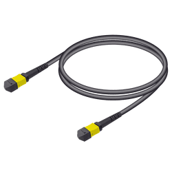 MTP Elite Female-Female Universal Patch Cord | Base-12 | Single Mode G657.A2 | 4.8mm, vista 2