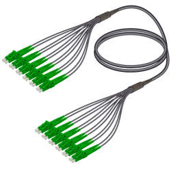 LC/APC-LC/APC | 12 Fibers Universal Fanout | Single Mode G657.A2 | 4.8/1.8mm, vista 2