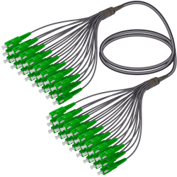 SC/APC-SC/APC | 24 Fibers Universal Fanout | Single Mode G657.A2 | 4.8/1.8mm, vista 2