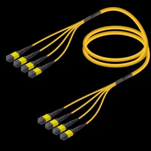 4xMTP to 4xMTP Single-mode Breakout, vista 2