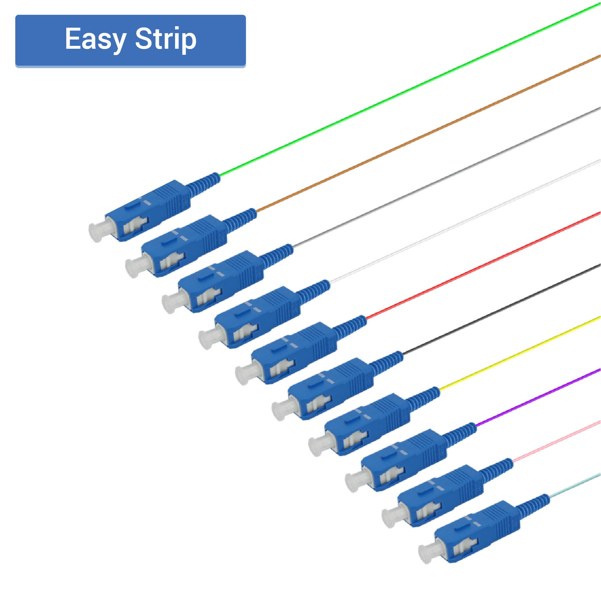 SC/UPC 12 Fiber Pigtail | Single Mode G657.A2 | 0.9mm, vista 2