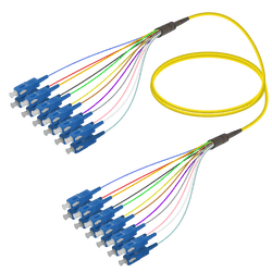 SC/UPC-SC/UPC | 12 Fibers Fanout | Single Mode G657.A2 | 3.0/0.9mm, vista 2