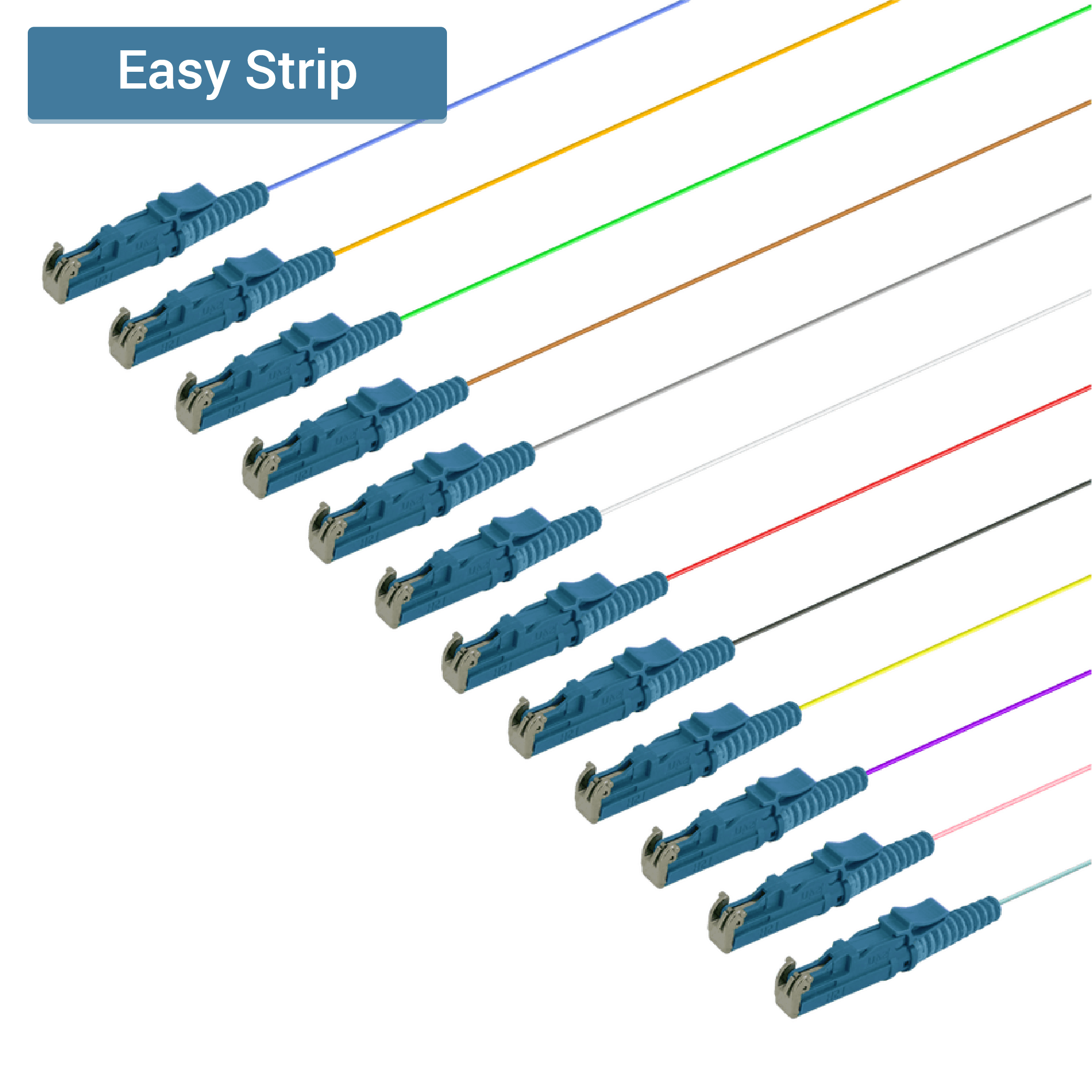LSH/UPC 12 Fiber Pigtail | Single Mode G657.A2 | 0.9mm