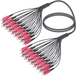 SC/UPC-SC/UPC | 24 Fibers Universal Fanout | Multi Mode G651.OM4 | 4.8/1.8mm, vista 2