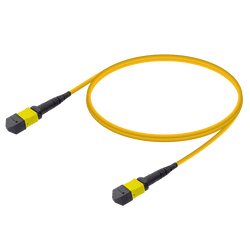 MTP Elite Female-Female Patch Cord | Base-12 | Single Mode G657.A2 | 3.0mm, vista 2