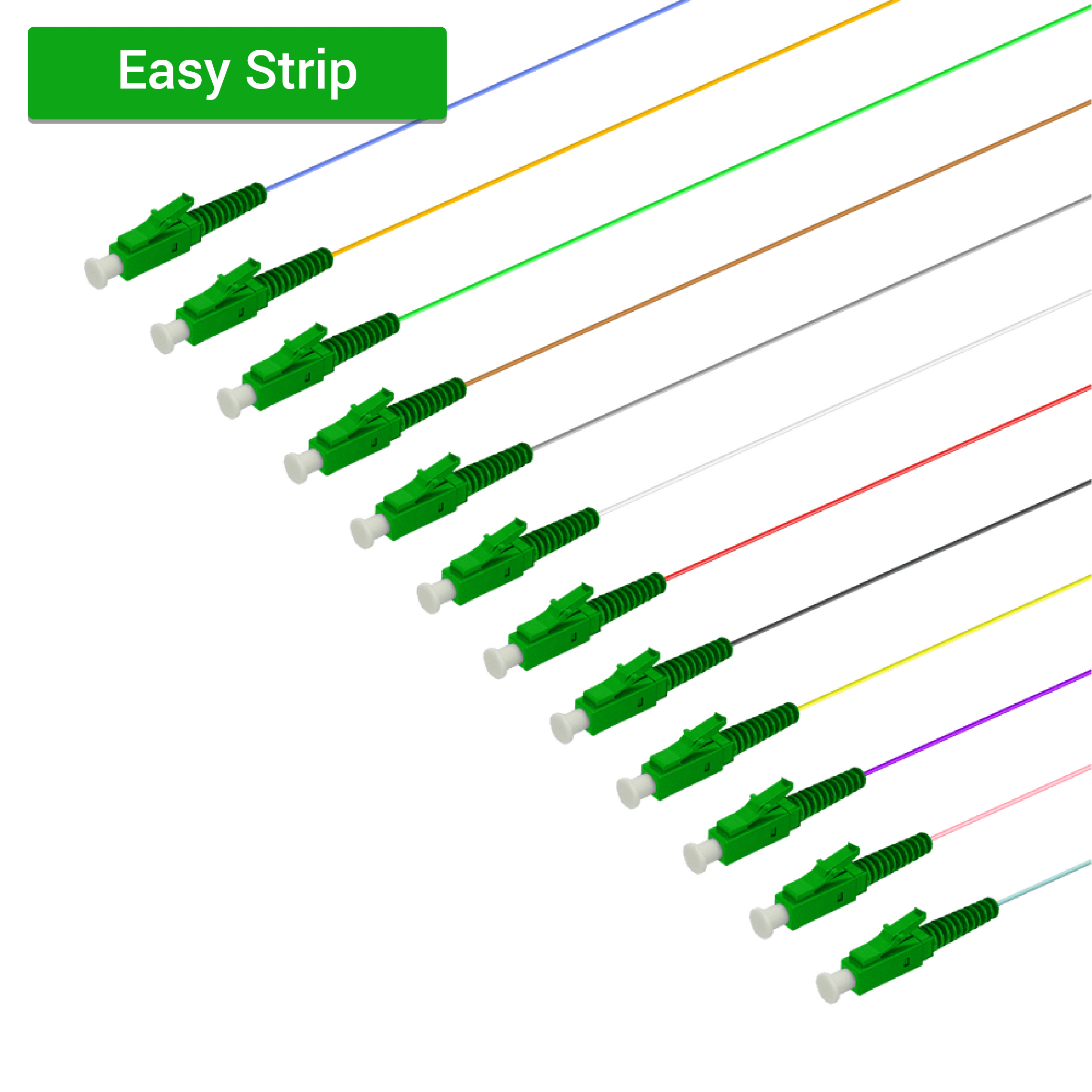 LC/APC 12 Fiber Pigtail | Single Mode G657.A2 | 0.9mm
