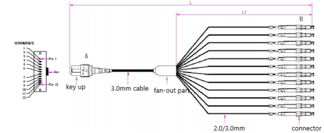 MPO Patch Cords, vista 11