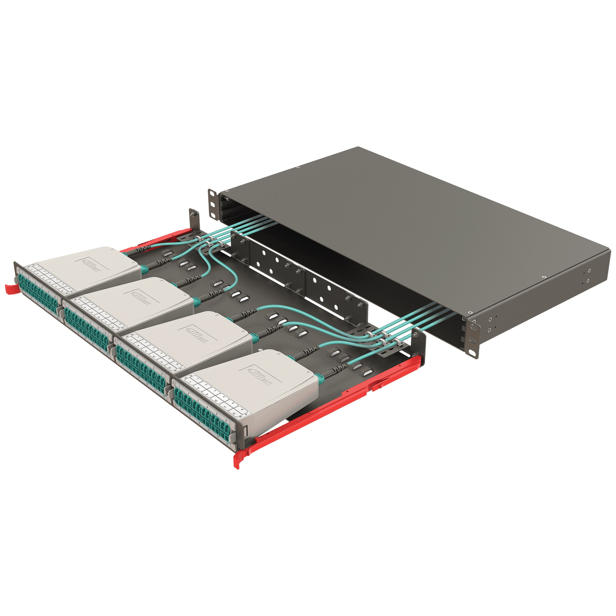 Modular High Density Panel | 1U 4 Slots, vista 4