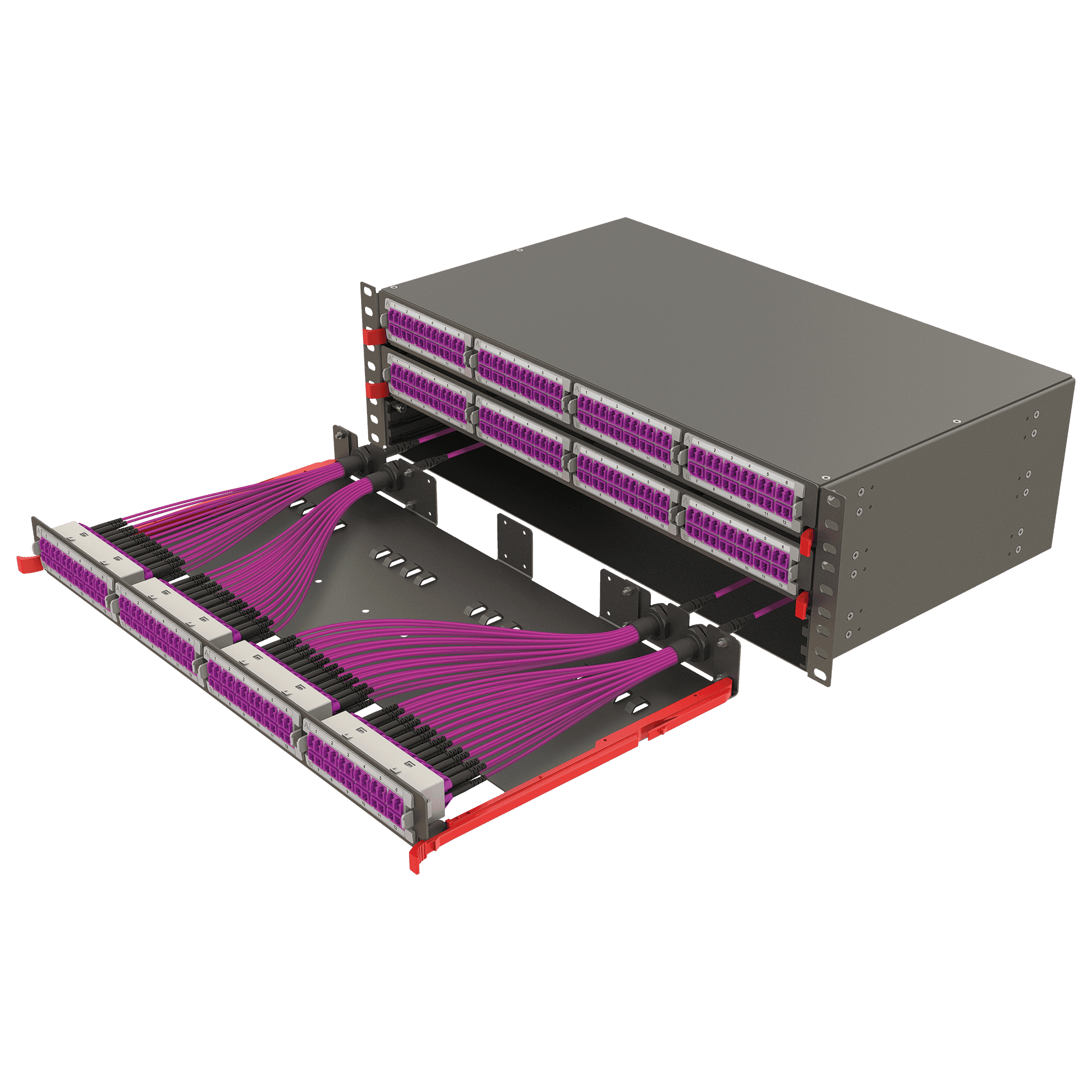 Modular High Density Panel | 3U 12 Slots, vista 3