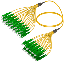 SC/APC-LC/APC | 24 Fibers Fanout | Single Mode G657.A2 | 3.0/1.8mm, vista 2