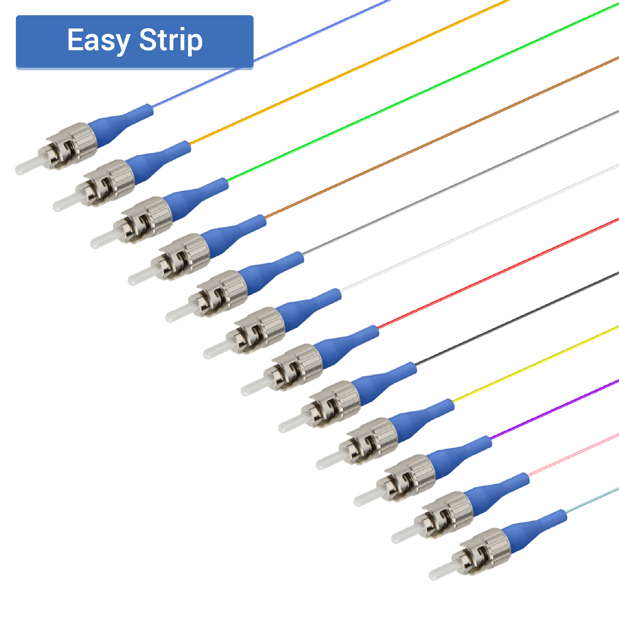 ST/UPC 12 Fiber Pigtail | Single Mode G657.A2 | 0.9mm