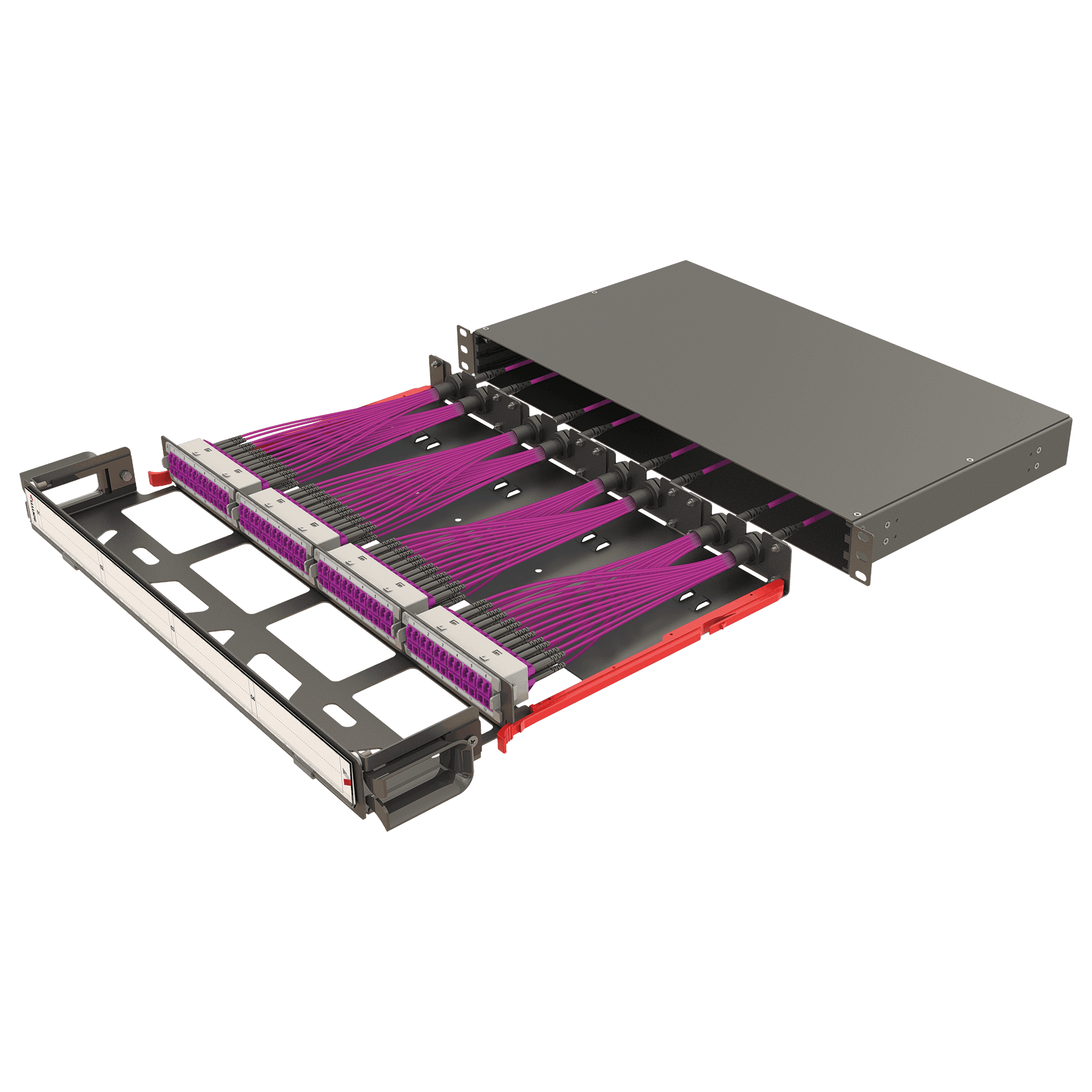 Modular High Density Panel with Organizer | 1U 4 Slots, vista 3
