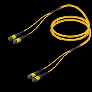 2xMTP to 2xMTP Single-mode Breakout, vista 2