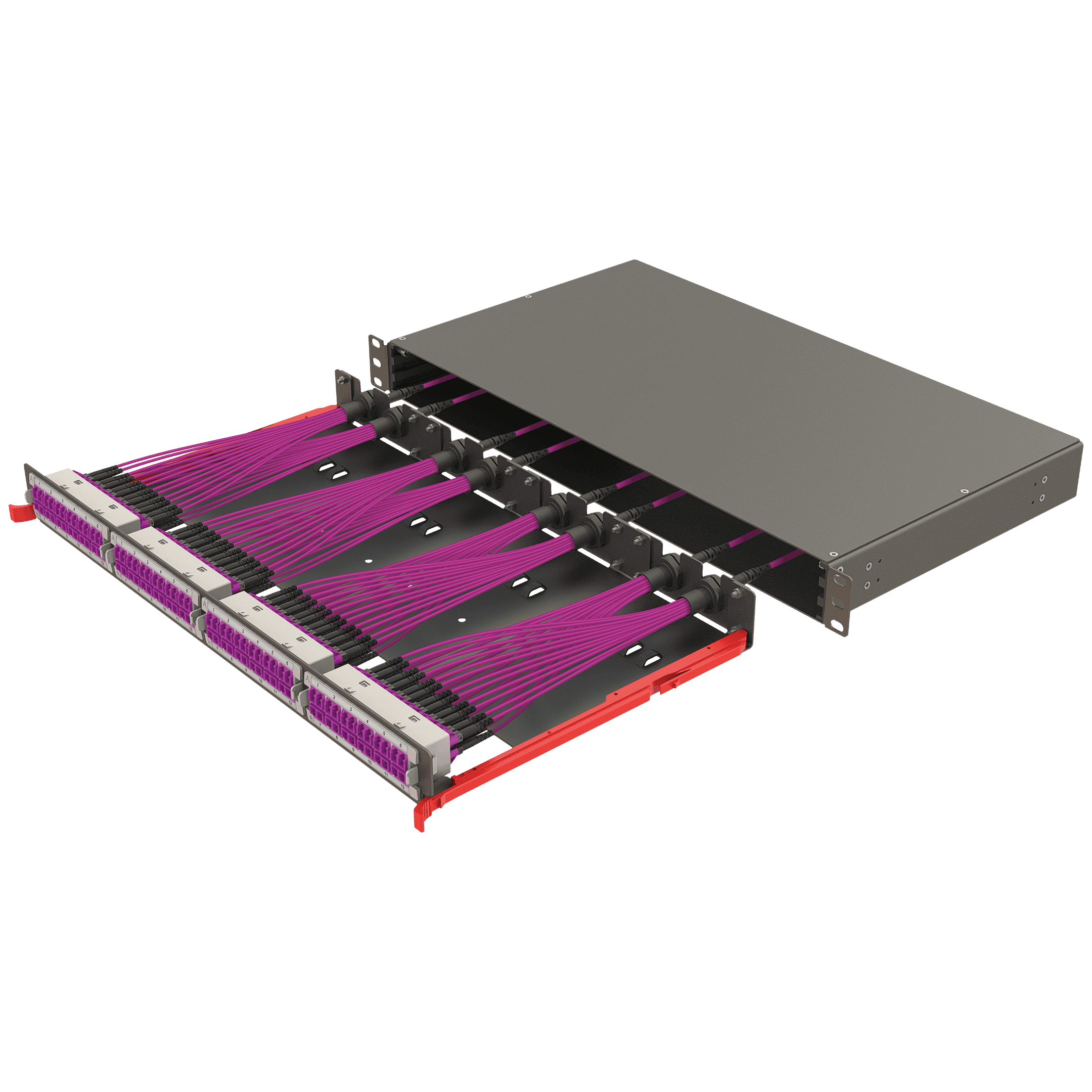 Modular High Density Panel | 1U 4 Slots, vista 3