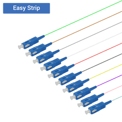 SC/UPC 12 Fiber Pigtail | Single Mode G657.A2 | 0.9mm