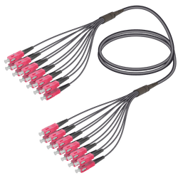 SC/UPC-SC/UPC | 12 Fibers Universal Fanout | Multi Mode G651.OM4 | 4.8/1.8mm, vista 2